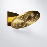 Steinberg 390 5650 Wall rain Regenpaneel