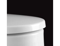 kompatibler WC Sitz Pressalit Delight 492 mit Absenkautomatik mit Nano