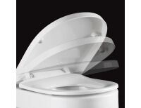 kompatibler WC Sitz Pressalit Delight 492 mit Absenkautomatik mit Nano