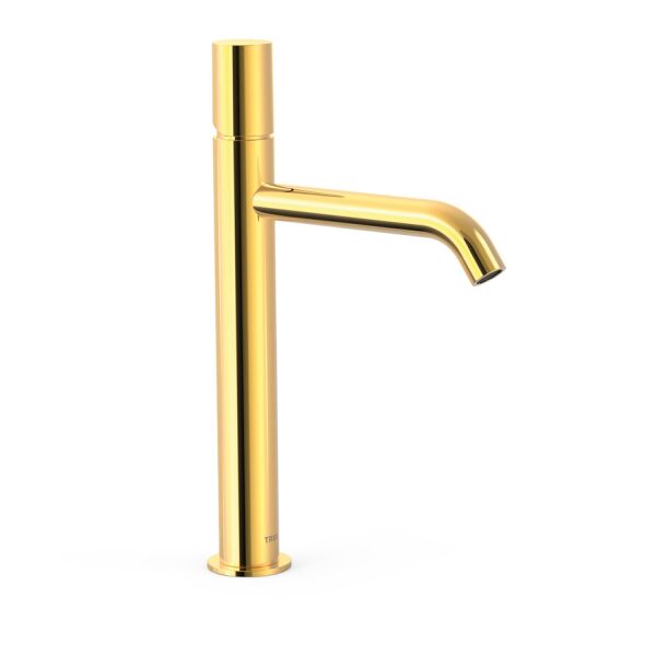 Gold 24K
